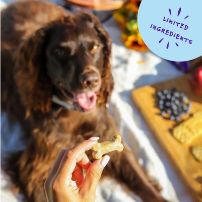 Show full view: Bocce's Bakery Wild Berry Biscotti Biscuits Crunchy Dog Treats, 12-oz bag slide 6 of 10