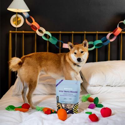 Show full view: Bocce's Bakery Wild Berry Biscotti Biscuits Crunchy Dog Treats, 12-oz bag slide 5 of 10