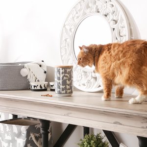 Bone Dry Ceramic Meow Cat Treat Canister, Gray