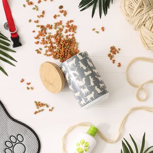 Bone Dry Ceramic Meow Cat Treat Canister, Gray