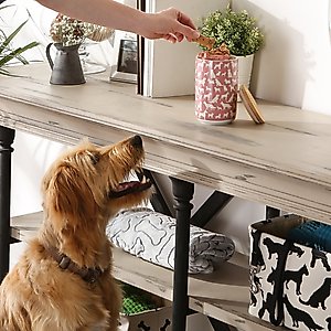 Bone Dry Ceramic Show Dog Treat Canister, Rose