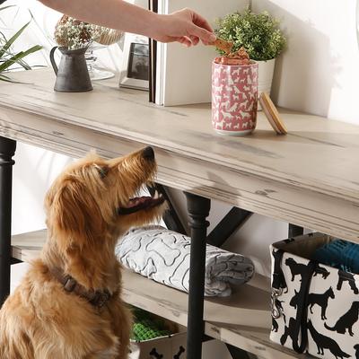 Show full view: Bone Dry Ceramic Show Dog Treat Canister, Rose slide 5 of 8