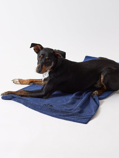 Show full view: Bone Dry Embroidered Paw Dog & Cat Towel, Navy slide 5 of 5