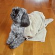 Show in main carousel: Bone Dry Embroidered Paw Dog & Cat Towel, Taupe slide 5 of 5