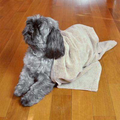 Show full view: Bone Dry Embroidered Paw Dog & Cat Towel, Taupe slide 5 of 5