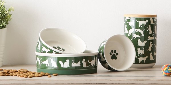 Show full view: Bone Dry Meow Set Cat Bowl, Hunter Green, Large slide 6 of 9