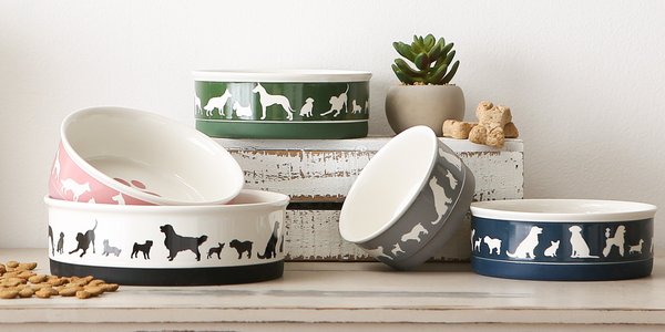 Show full view: Bone Dry Meow Set Cat Bowl, Hunter Green, Large slide 8 of 9