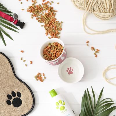 Show full view: Bone Dry Meow Set Cat Bowl, Rose, Small slide 7 of 9