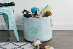 Bone Dry Paw Print Dog & Cat Collapsible Storage Bin, Aqua, Small slide 2 of 5