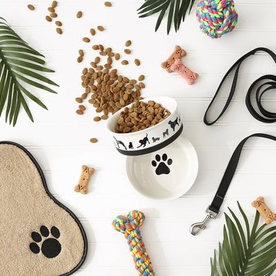 Show full view: Bone Dry Show Set Dog Bowl, Black & White, Medium slide 8 of 9