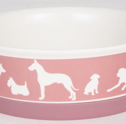 Show full view: Bone Dry Show Set Dog Bowl, Rose, Large slide 2 of 9