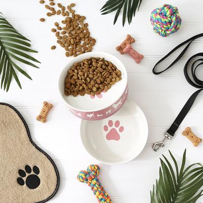 Show full view: Bone Dry Show Set Dog Bowl, Rose, Large slide 6 of 9