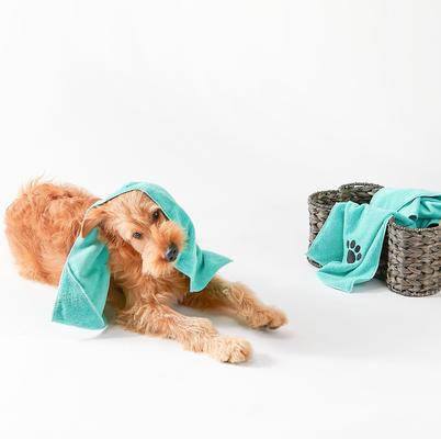 Show full view: Bone Dry Small Embroidered Paw Dog & Cat Towel Set, 3 count, Aqua slide 6 of 6