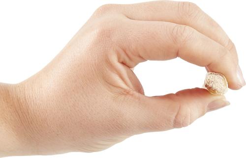 Show full view: Bones & Chews 12" Thin Bully Sticks Dog Treat, 10 count slide 5 of 10