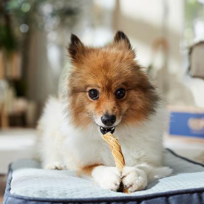 Show full view: Bones & Chews 4-5" Beef Tripe Twist Dog Treats, 2 count slide 6 of 9