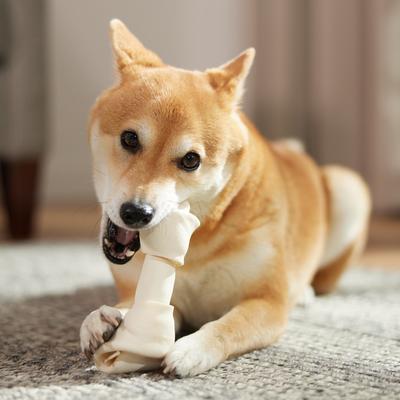 Show full view: Bones & Chews 6-7” Rawhide Bone Dog Treats, 5 count slide 4 of 6