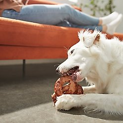 Bones & Chews 6" Beef Basted Rawhide Pretzel Dog Treat, 1 count slide 2 of 4