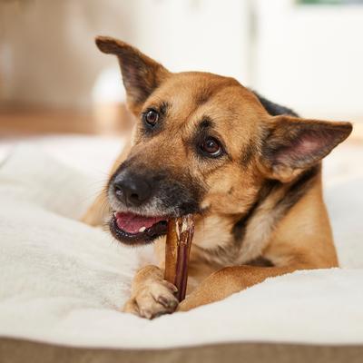 Show full view: Bones & Chews 6" Mega Bully Sticks, 3 count slide 6 of 10