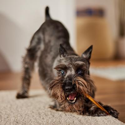 Show full view: Bones & Chews 6" Thin Bully Sticks, 6 count slide 6 of 10