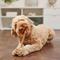 Show in main carousel: Bones & Chews 9-10” Beef Tripe Twist Dog Treats, 10 count slide 5 of 8