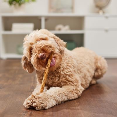 Show full view: Bones & Chews 9-10” Beef Tripe Twist Dog Treats, 10 count slide 5 of 8