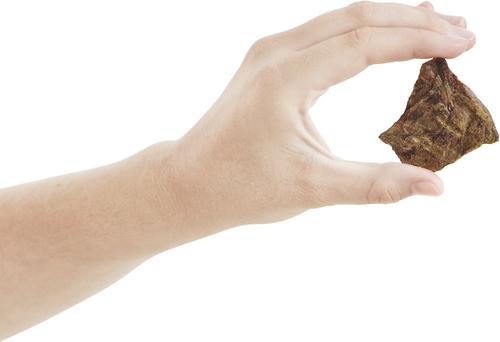 Show full view: Bones & Chews All-Natural Beef Lung Filets Dehydrated Dog Treats, 12-oz bag slide 5 of 10