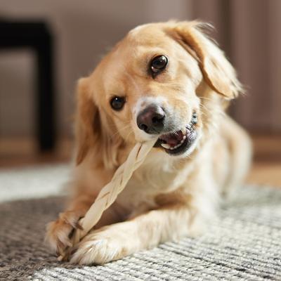 Show full view: Bones & Chews Beefhide Braid Dog Treats, 7", 2 count slide 4 of 6