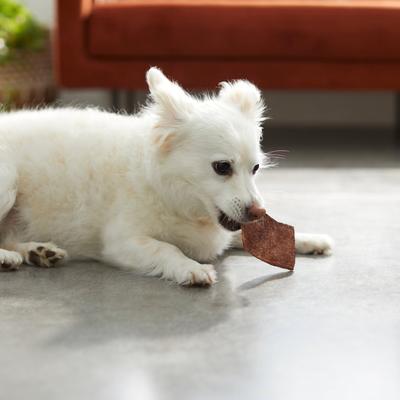 Show full view: Bones & Chews Beef Basted Rawhide Chips Dog Treats, 16-oz bag slide 5 of 8