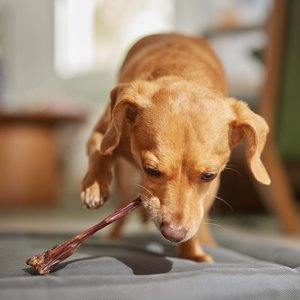 Bones & Chews Beef Esophagus Dog Treats (NEW LOOK COMING SOON), 1-lb bag