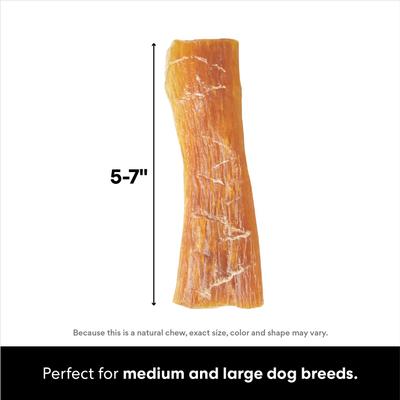 Show full view: Bones & Chews Beef Strap Tendon Chews Dog Treat, 6 count slide 3 of 8