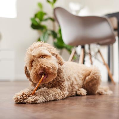 Show full view: Bones & Chews Beef Strap Tendon Chews Dog Treat, 6 count slide 5 of 8