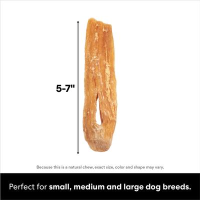 Show full view: Bones & Chews Beef Tendons Dog Treats, 16-oz bag slide 3 of 8