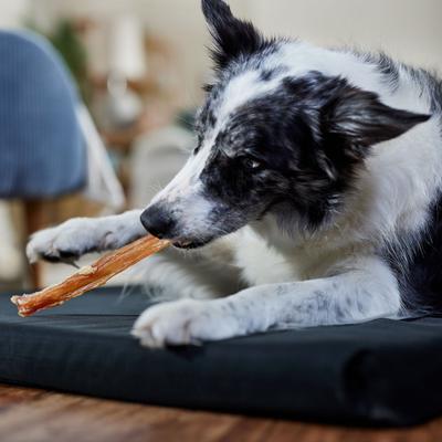 Show full view: Bones & Chews Beef Tendons Dog Treats, 16-oz bag slide 5 of 8