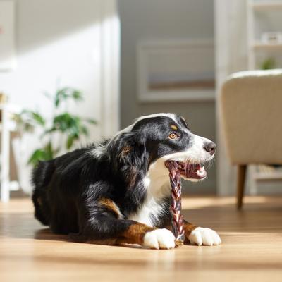 Show full view: Bones & Chews Braided Beef Gullet Dog Treat, 11"-12", 3 count slide 5 of 9