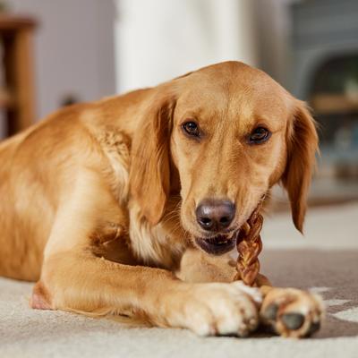 Show full view: Bones & Chews Braided Bully Stick 12" Dog Treats, 1 count slide 5 of 8