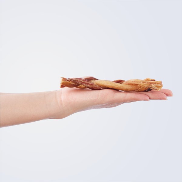 BONES & CHEWS Braided Bully Stick 6" Dog Treats, 1 count - Chewy.com
