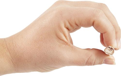 Show full view: Bones & Chews Bully Stick 4", 2 count slide 4 of 7