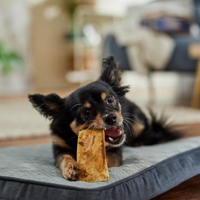 Show full view: Bones & Chews Bully Strips Peanut Butter Flavor Beef Dog Treats, 9-oz bag slide 6 of 9