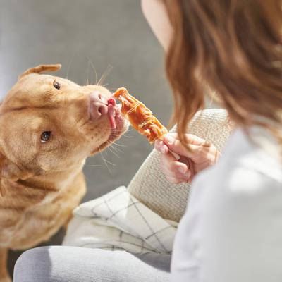 Show full view: Bones & Chews Chicken Wrapped Rawhide Skewer Dog Treats, 1-lb bag slide 5 of 8