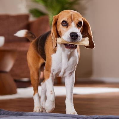 Show full view: Bones & Chews Compressed Rawhide Bone Dog Treats, 6", 6 count slide 4 of 6