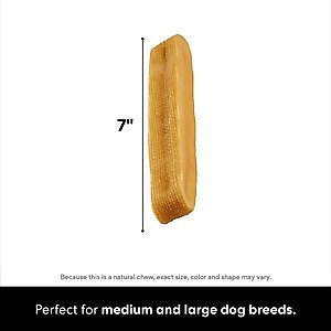 Bones & Chews Himalayan Yak Cheese Jumbo Dog Treats, 1 count