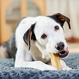 Bones & Chews Himalayan Yak Cheese Jumbo Dog Treats, 1 count