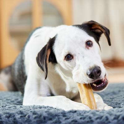 Show full view: Bones & Chews Himalayan Yak Cheese Jumbo Dog Treats, 1 count slide 5 of 8