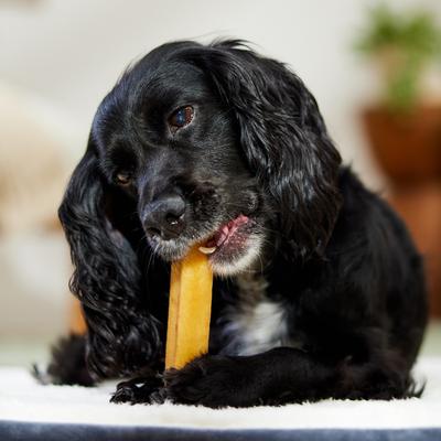 Show full view: Bones & Chews Himalayan Yak Cheese Large Dog Treats, 3 count slide 5 of 7