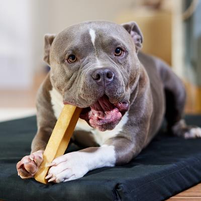 Show full view: Bones & Chews Himalayan Yak Cheese Value Pack Dog Treats, 1-lb bag slide 5 of 7