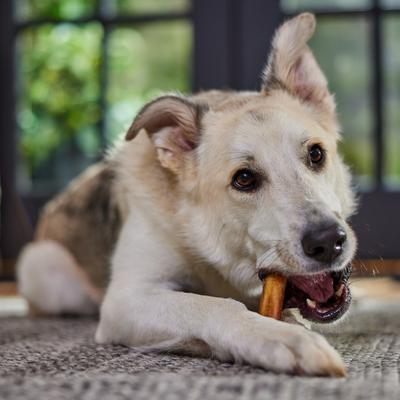 Show full view: Bones & Chews Jumbo Bully Stick 6" Dog Treats, 3 count slide 6 of 10