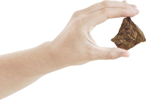 Show full view: Bones & Chews Lamb Lung Filets + Beef Lung Filets Dehydrated Dog Treats slide 9 of 9