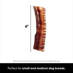 Bones & Chews Made in USA 6" Beef Trachea Dog Treats, 3 count slide 2 of 6
