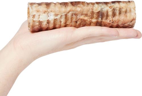 Show full view: Bones & Chews Made in USA 6" Beef Trachea Dog Treats, 3 count slide 4 of 8