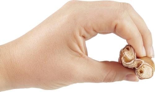 Show full view: Bones & Chews Made in USA 6" Braided Bully Stick Dog Treat, 1 count slide 4 of 8